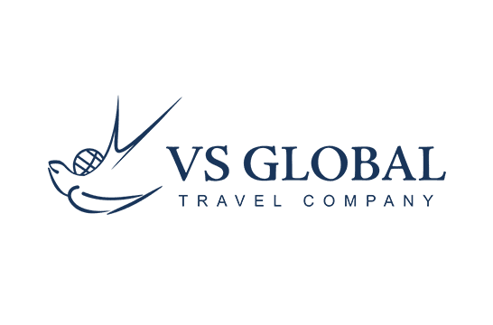 VS Global logo