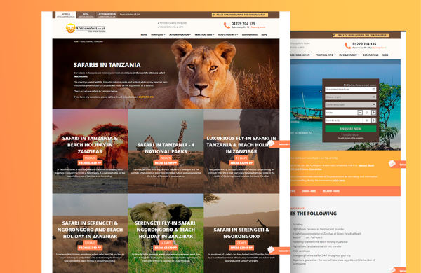 Africa Safari website