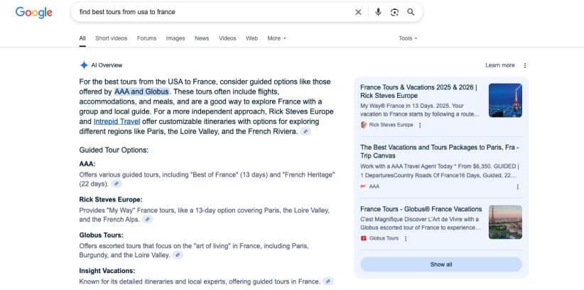 AI overview presenting a list of tour operators in response to a query 